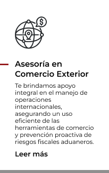 Asesoria Comercio Exterior